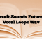 Tunecraft Sounds Future Bass Vocal Loops Wav